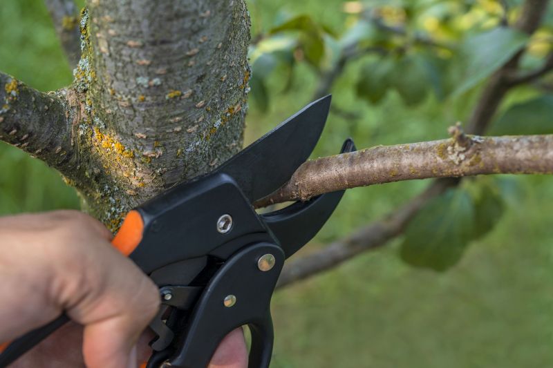 Branch Cutting Service