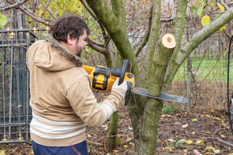 Branch Cutting Service