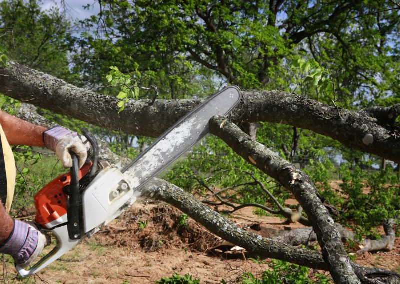 Branch Cutting Service