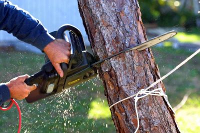 Branch Cutting Service