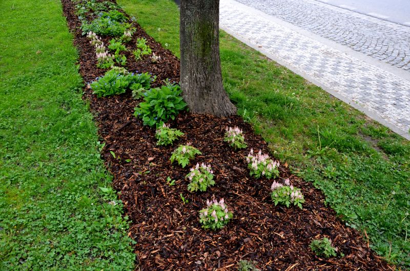 Mulched Leaves on Lawn