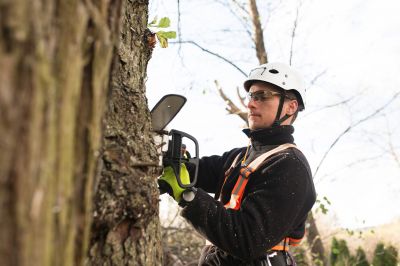 Expert Tree Pruning